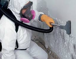 Mold Documentation for Insurance Claims in Galena, IN